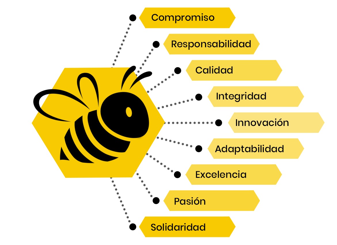 Valores BIZZ